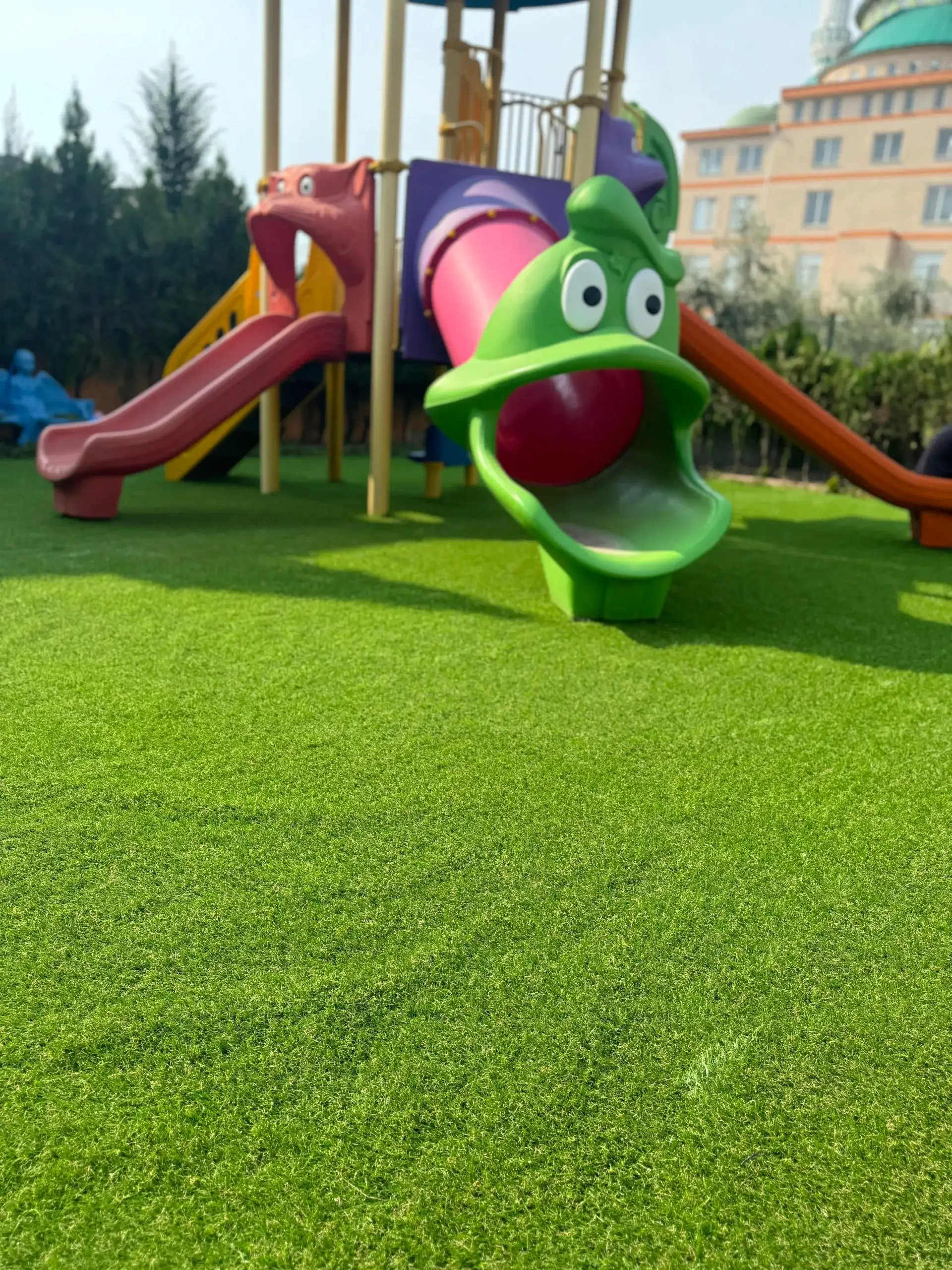 çim halı